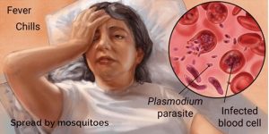 malaria-and-biomagnetism-blog